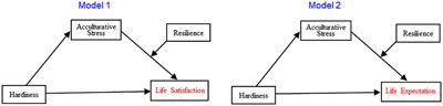 The Relationships Between Hardiness and Life Satisfaction or Expectation of Korean Multicultural Children: Focused on Mediating Effect of Acculturative Stress Moderated by Resilience